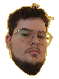 Portrait of Stefan Alin